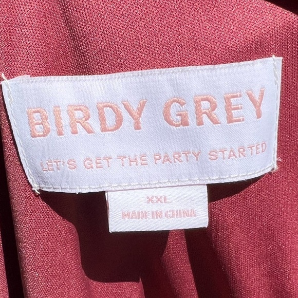 🌻Birdy Grey Laurie Chiffon Dress in Rosewood - Picture 10 of 12